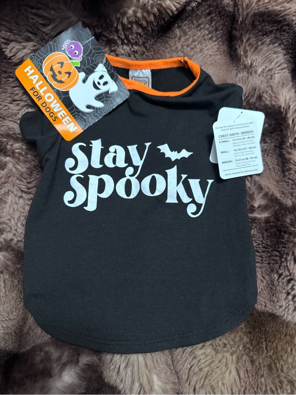 🎃Stay Spooky Black Halloween Dog Tee with Orange Trim 🎃